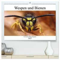 Produktbild: Faszination Makrofotografie: Wespen und Bienen (hochwertiger Premium Wandkalender 2027 DIN A2 quer), Kunstdruck in Hochglanz