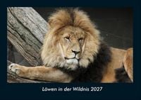 Produktbild: L&ouml;wen in der Wildnis 2027 Fotokalender DIN A4