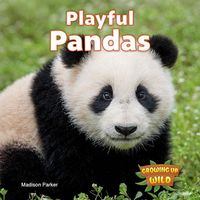 Produktbild: Playful Pandas