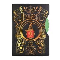 Cahier Journal Harry Potter - Alohomora | Idées de cadeaux originaux