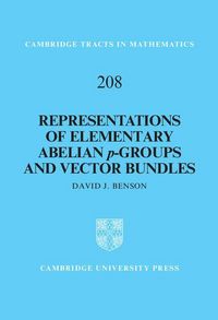 Produktbild: Representations of Elementary Abelian p-Groups and Vector Bundles