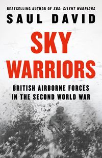 Produktbild: David, S: Sky Warriors