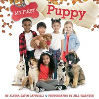 Produktbild: My First Puppy