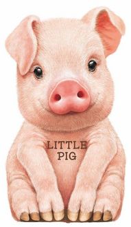 Produktbild: Little Pig