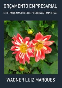 Produktbild: Or&ccedil;amento Empresarial