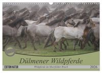 Produktbild: D&uuml;lmener Wildpferde - Wildpferde im Meerfelder Bruch (Wandkalender 2026 DIN A3 quer), CALVENDO Monatskalender