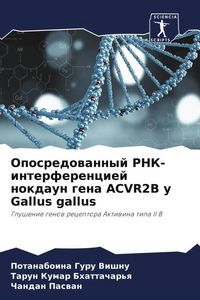 Produktbild: Oposredowannyj RNK-interferenciej nokdaun gena ACVR2B u Gallus gallus