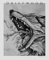 Produktbild: Driftwood Press 6.1