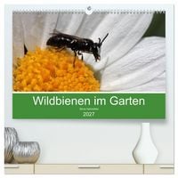 Produktbild: Wildbienen im Garten (hochwertiger Premium Wandkalender 2027 DIN A2 quer), Kunstdruck in Hochglanz