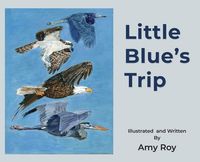 Produktbild: Little Blue's Trip