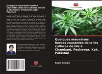 Produktbild: Quelques mauvaises herbes courantes dans les cultures de bl&eacute; &agrave; Chamkani, Peshawar, Kpk, Pakistan