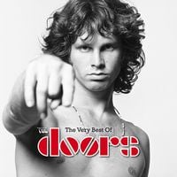 Bild vom Artikel The Very Best Of vom Autor The Doors