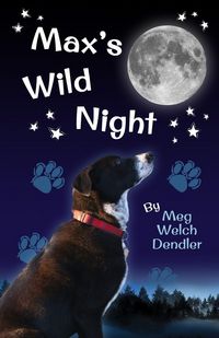 Produktbild: Max's Wild Night