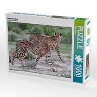 Produktbild: CALVENDO Puzzle Geparden-Duo | 1000 Teile Lege-Gr&ouml;&szlig;e 64x48cm Foto-Puzzle f&uuml;r gl&uuml;ckliche Stunden