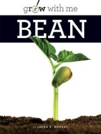 Produktbild: Bean