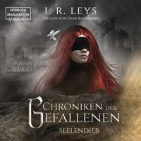Produktbild: Seelendieb