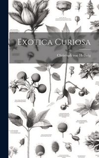 Produktbild: Exotica Curiosa