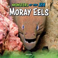 Produktbild: Moray Eels