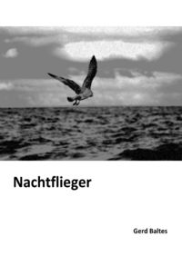 Produktbild: Nachtflieger