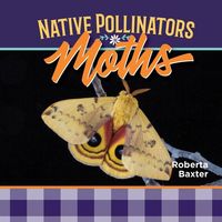Produktbild: Moths: Native Pollinators