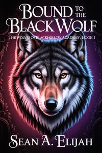 Produktbild: Bound to the Black Wolf