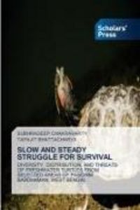 Produktbild: Slow and Steady Struggle For Survival