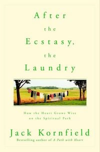 Produktbild: After the Ecstasy, the Laundry