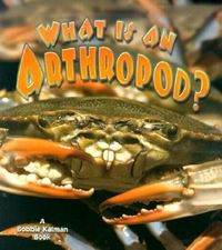 Bild vom Artikel What Is an Arthropod? vom Autor Bobbie Kalman