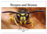 Produktbild: Faszination Makrofotografie: Wespen und Bienen (Wandkalender 2027 DIN A3 quer), CALVENDO Monatskalender