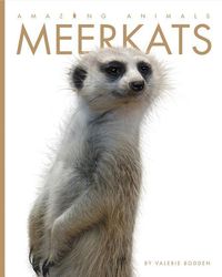 Produktbild: Meerkats