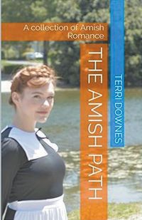 Produktbild: The Amish Path