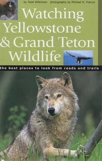 Produktbild: Watching Yellowstone and Grand Teton Wildlife