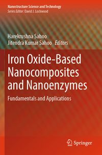 Produktbild: Iron Oxide-Based Nanocomposites and Nanoenzymes