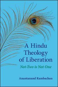 Produktbild: A Hindu Theology of Liberation