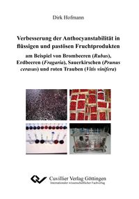 Produktbild: Verbesserungen der Anthocyanstabilit&auml;t in fl&uuml;ssigen und past&ouml;sen Fruchtprodukten am Beispiel von Brombeeren (Rubus), Erdbeeren (Fragaria), Sauerkirschen (Prunus cerasus) und roten Trauben (Vitis vinifera)