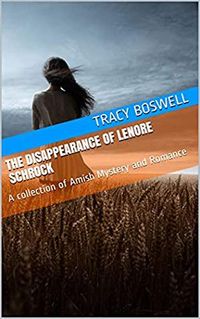 Produktbild: The Disappearance of Lenore Schrock