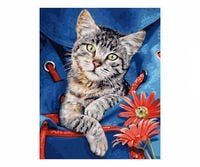 Produktbild: Katze im Rucksack