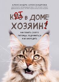 Produktbild: Kot v dome hozyain! Kak ponyat svoego pitomtsa, podruzhitsya i ne navredit