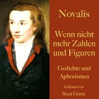 Produktbild: Novalis: Wenn nicht mehr Zahlen und Figuren