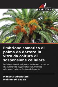 Produktbild: Embrione somatico di palma da dattero in vitro da coltura di sospensione cellulare