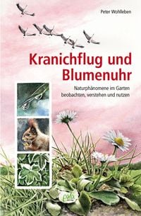 Produktbild: Kranichflug und Blumenuhr