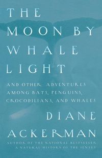 Produktbild: Moon By Whale Light