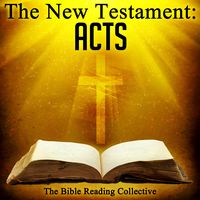 Produktbild: The New Testament: Acts
