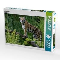 Produktbild: CALVENDO Puzzle Armurtiger | 1000 Teile Lege-Gr&ouml;&szlig;e 64x48cm Foto-Puzzle f&uuml;r gl&uuml;ckliche Stunden