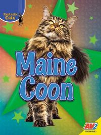 Produktbild: Maine Coon