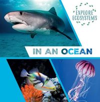 Produktbild: In an Ocean
