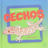 Produktbild: Get To Know Geckos