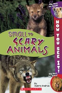 Produktbild: Now You See It Small To Scary