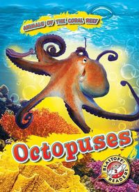 Produktbild: Octopuses