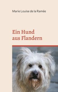 Produktbild: Ein Hund aus Flandern